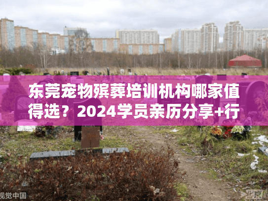 东莞宠物殡葬培训机构哪家值得选？2024学员亲历分享+行业内幕曝光