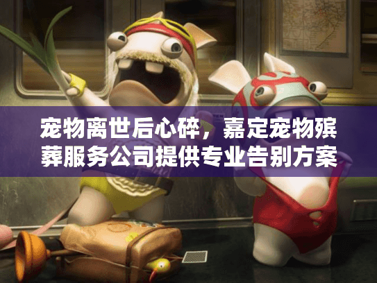 宠物离世后心碎，嘉定宠物殡葬服务公司提供专业告别方案