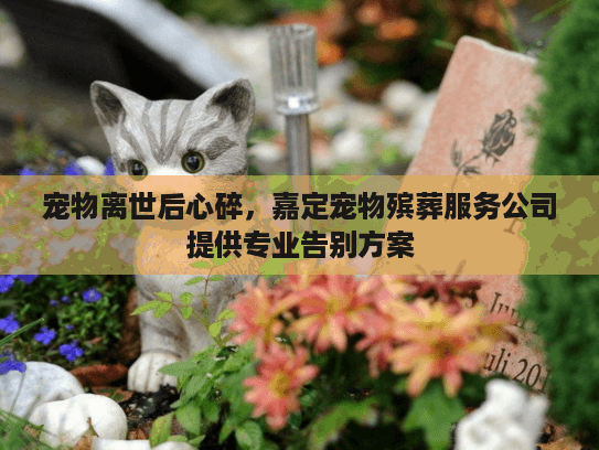 宠物离世后心碎，嘉定宠物殡葬服务公司提供专业告别方案