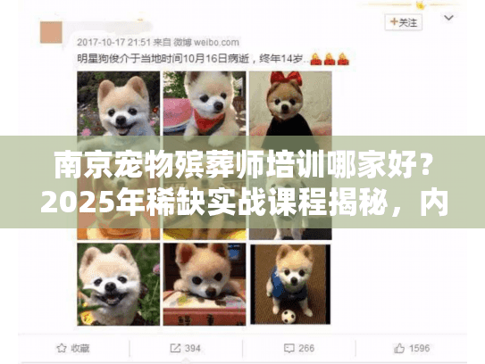 南京宠物殡葬师培训哪家好？2025年稀缺实战课程揭秘，内行人都在学！