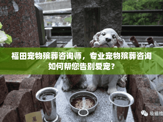 福田宠物殡葬咨询师，专业宠物殡葬咨询如何帮您告别爱宠？