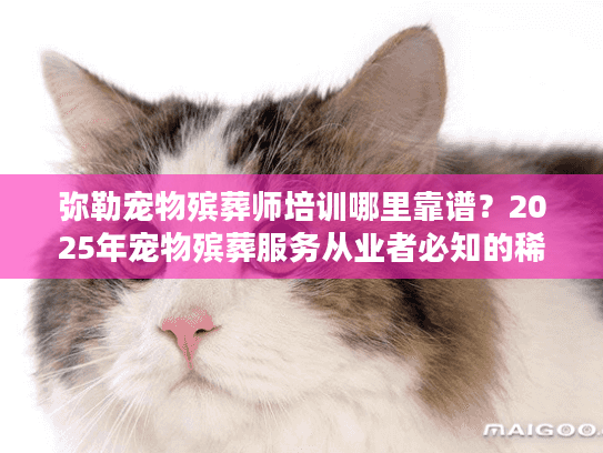 弥勒宠物殡葬师培训哪里靠谱？2025年宠物殡葬服务从业者必知的稀缺技能