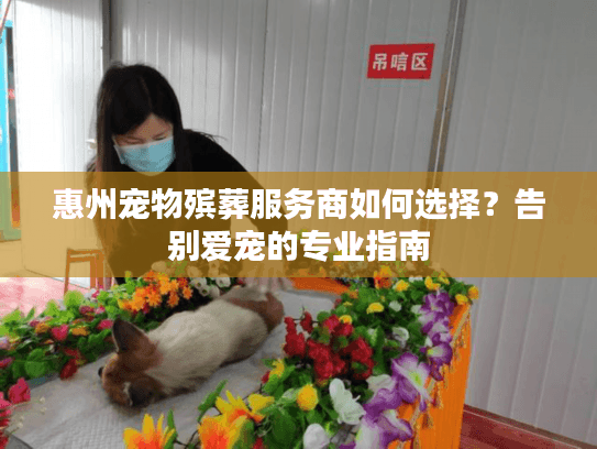 惠州宠物殡葬服务商如何选择？告别爱宠的专业指南