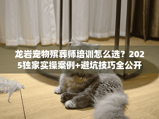 龙岩宠物殡葬师培训怎么选？2025独家实操案例+避坑技巧全公开