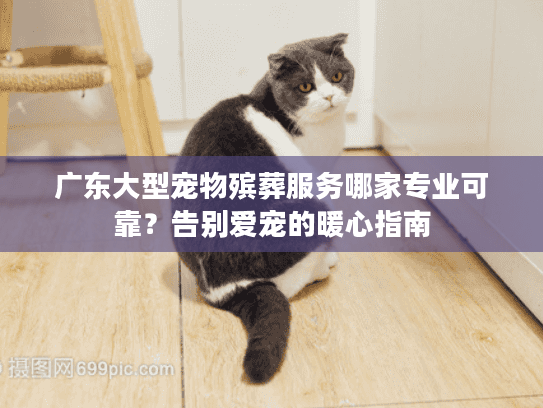 广东大型宠物殡葬服务哪家专业可靠？告别爱宠的暖心指南