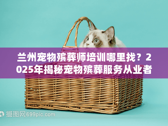 兰州宠物殡葬师培训哪里找？2025年揭秘宠物殡葬服务从业者的真实成长路径