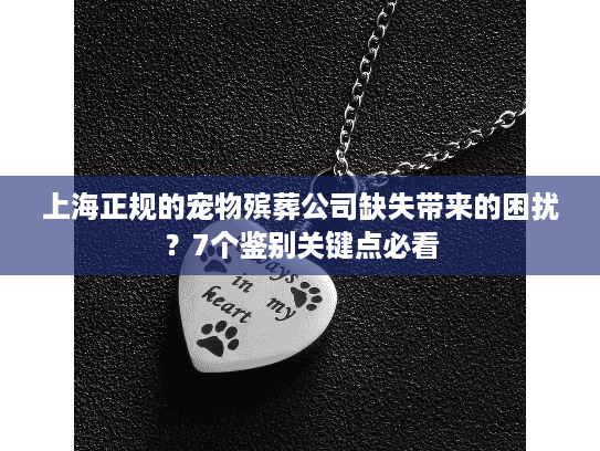 上海正规的宠物殡葬公司缺失带来的困扰？7个鉴别关键点必看