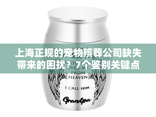 上海正规的宠物殡葬公司缺失带来的困扰？7个鉴别关键点必看