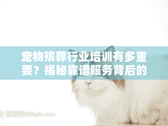 宠物殡葬行业培训有多重要？揭秘靠谱服务背后的从业者修炼之路