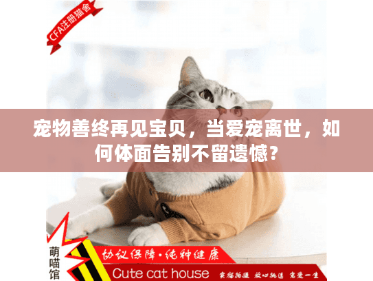 宠物善终再见宝贝，当爱宠离世，如何体面告别不留遗憾？