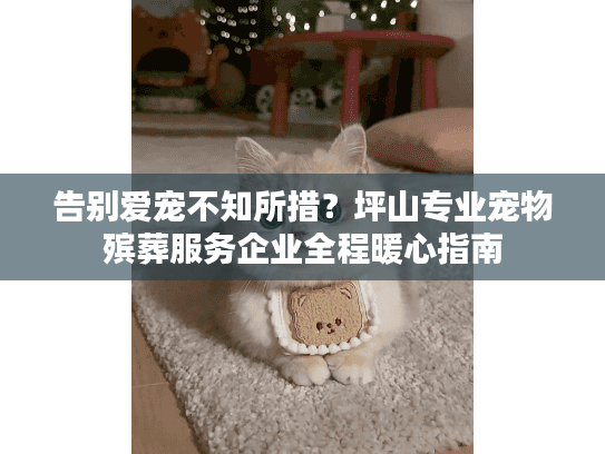 告别爱宠不知所措？坪山专业宠物殡葬服务企业全程暖心指南