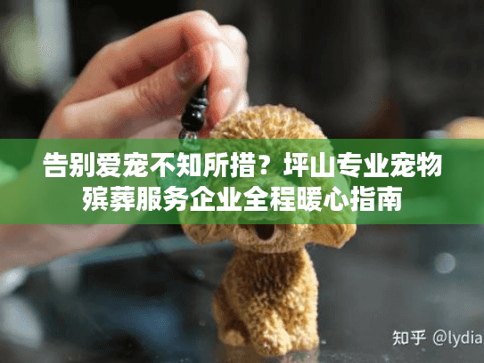 告别爱宠不知所措？坪山专业宠物殡葬服务企业全程暖心指南