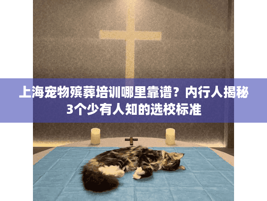 上海宠物殡葬培训哪里靠谱？内行人揭秘3个少有人知的选校标准
