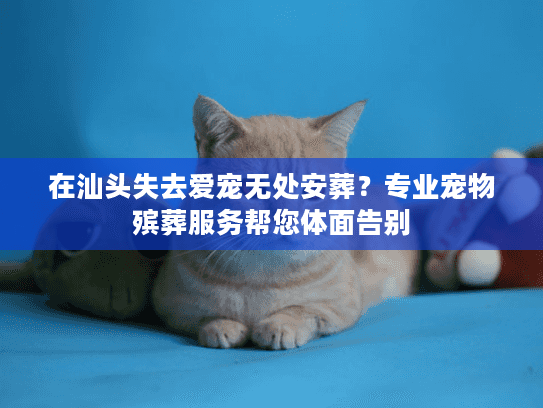 在汕头失去爱宠无处安葬？专业宠物殡葬服务帮您体面告别