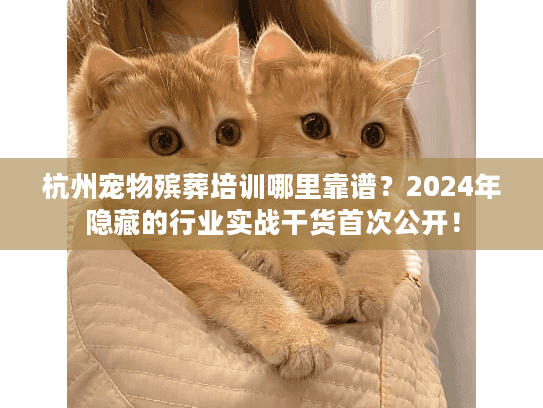 杭州宠物殡葬培训哪里靠谱？2024年隐藏的行业实战干货首次公开！
