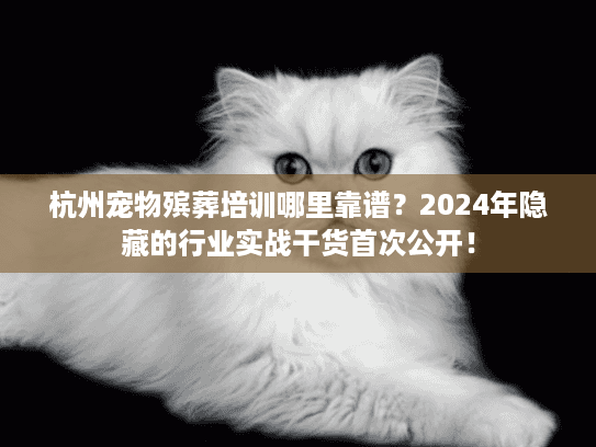 杭州宠物殡葬培训哪里靠谱？2024年隐藏的行业实战干货首次公开！