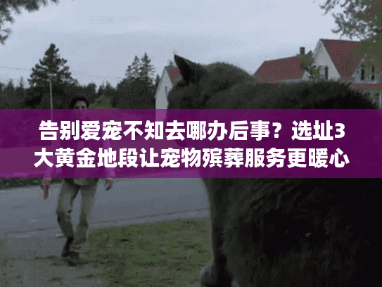 告别爱宠不知去哪办后事？选址3大黄金地段让宠物殡葬服务更暖心