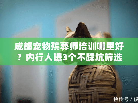 成都宠物殡葬师培训哪里好？内行人曝3个不踩坑筛选技巧