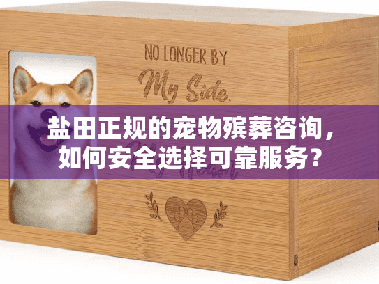 盐田正规的宠物殡葬咨询，如何安全选择可靠服务？