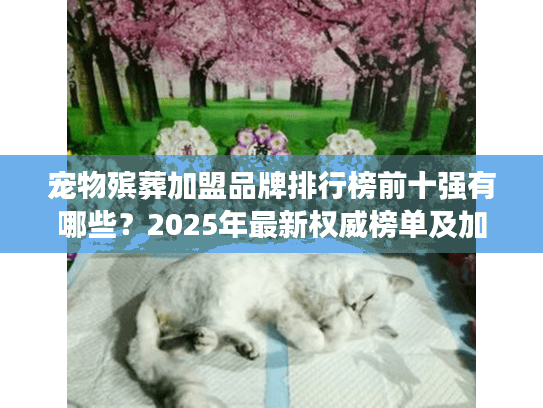 宠物殡葬加盟品牌排行榜前十强有哪些？2025年最新权威榜单及加盟价值分析