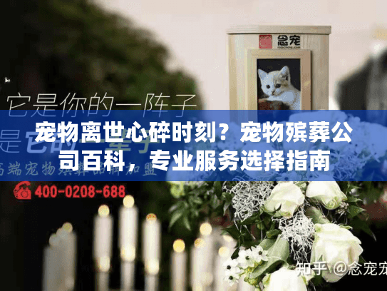 宠物离世心碎时刻？宠物殡葬公司百科，专业服务选择指南