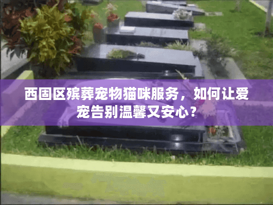 西固区殡葬宠物猫咪服务，如何让爱宠告别温馨又安心？
