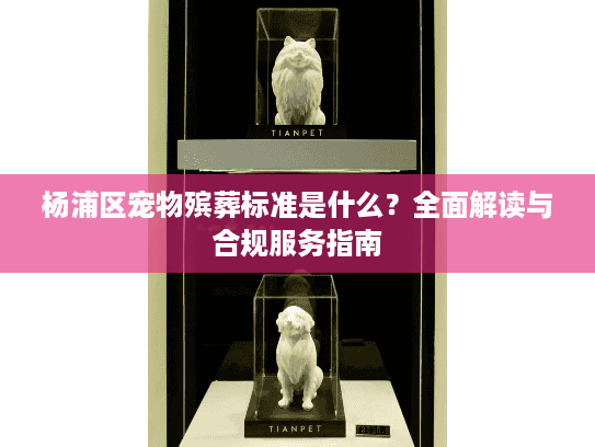 杨浦区宠物殡葬标准是什么？全面解读与合规服务指南