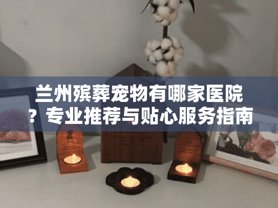 兰州殡葬宠物有哪家医院？专业推荐与贴心服务指南