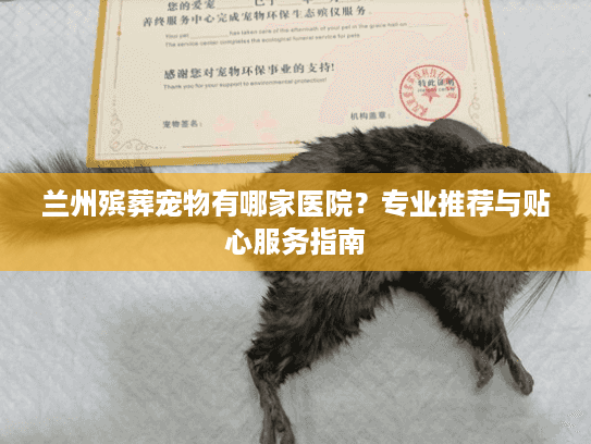 兰州殡葬宠物有哪家医院？专业推荐与贴心服务指南