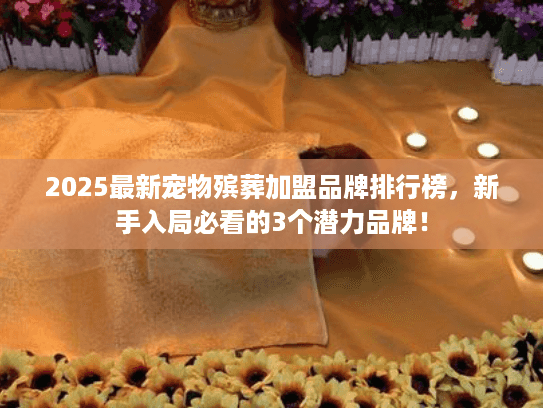 2025最新宠物殡葬加盟品牌排行榜，新手入局必看的3个潜力品牌！