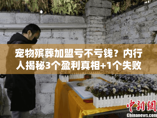 宠物殡葬加盟亏不亏钱？内行人揭秘3个盈利真相+1个失败陷阱