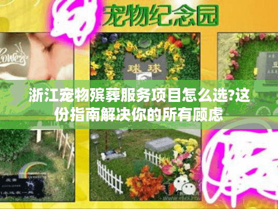 浙江宠物殡葬服务项目怎么选?这份指南解决你的所有顾虑