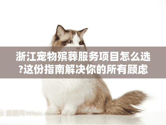 浙江宠物殡葬服务项目怎么选?这份指南解决你的所有顾虑