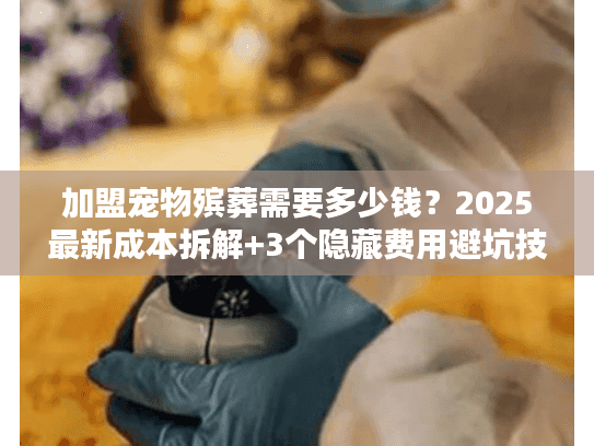 加盟宠物殡葬需要多少钱？2025最新成本拆解+3个隐藏费用避坑技巧