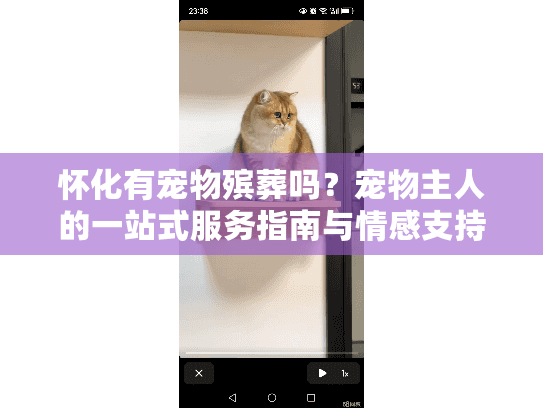 怀化有宠物殡葬吗？宠物主人的一站式服务指南与情感支持