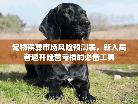 宠物殡葬市场风险预测表，新入局者避开经营亏损的必备工具