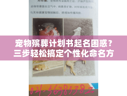 宠物殡葬计划书起名困惑？三步轻松搞定个性化命名方案
