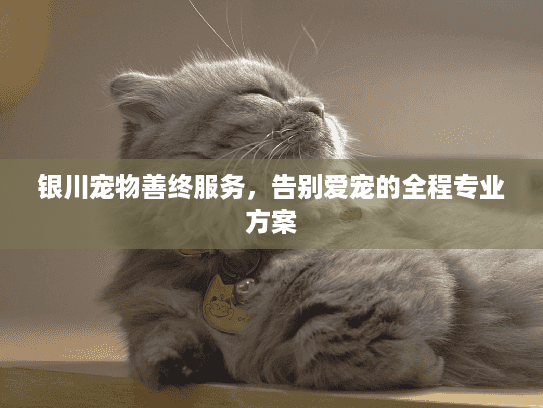 银川宠物善终服务，告别爱宠的全程专业方案
