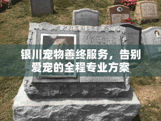 银川宠物善终服务，告别爱宠的全程专业方案