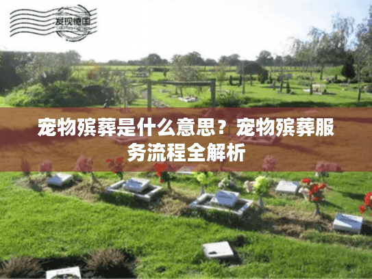 宠物殡葬是什么意思？宠物殡葬服务流程全解析