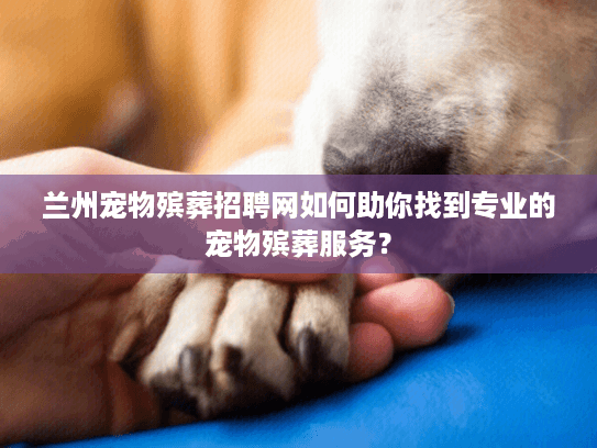 兰州宠物殡葬招聘网如何助你找到专业的宠物殡葬服务？