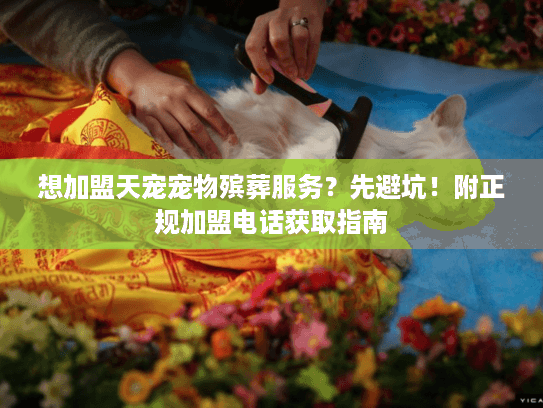 想加盟天宠宠物殡葬服务？先避坑！附正规加盟电话获取指南