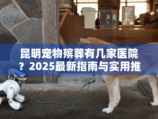 昆明宠物殡葬有几家医院？2025最新指南与实用推荐
