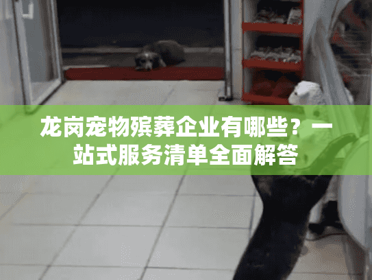 龙岗宠物殡葬企业有哪些？一站式服务清单全面解答