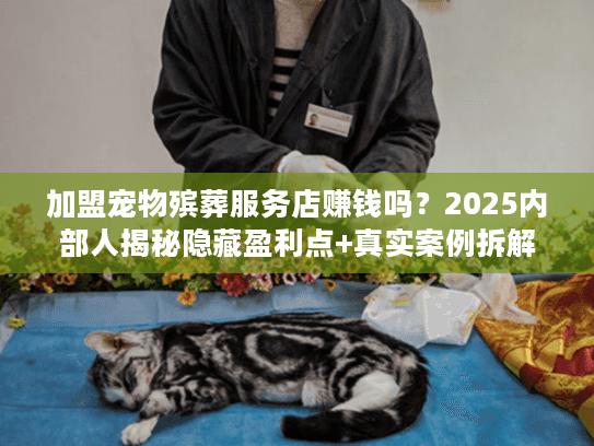 加盟宠物殡葬服务店赚钱吗？2025内部人揭秘隐藏盈利点+真实案例拆解