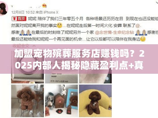 加盟宠物殡葬服务店赚钱吗？2025内部人揭秘隐藏盈利点+真实案例拆解