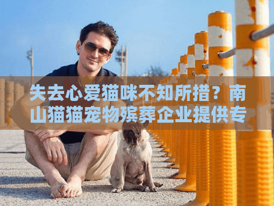失去心爱猫咪不知所措？南山猫猫宠物殡葬企业提供专业宠物火化服务