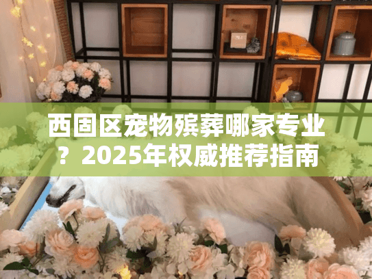 西固区宠物殡葬哪家专业？2025年权威推荐指南