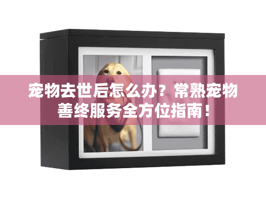宠物去世后怎么办？常熟宠物善终服务全方位指南！