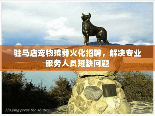 驻马店宠物殡葬火化招聘，解决专业服务人员短缺问题